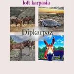 Loft Karpasia *