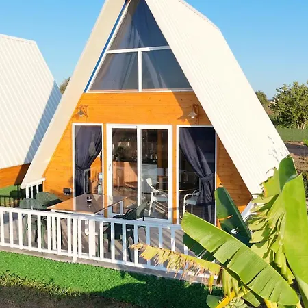 Loft Karpasia Case de vacanță *