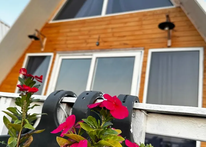 Semesterbostad Loft Karpasia